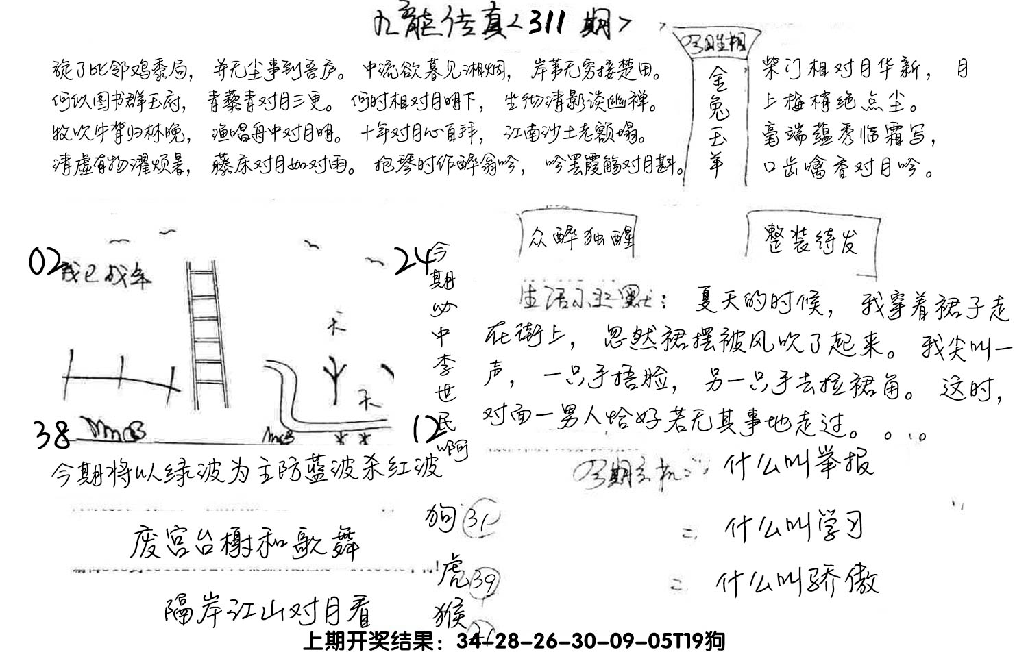 图片加载中