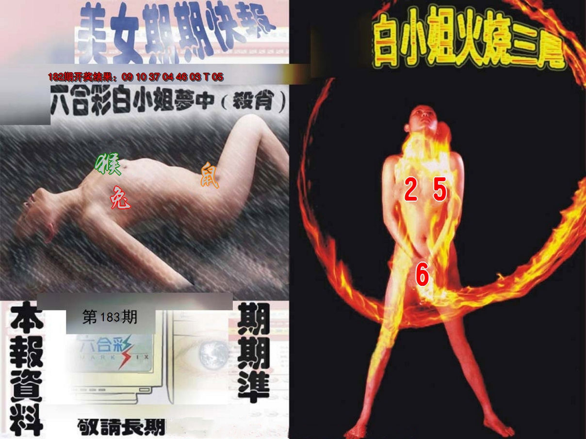 新澳彩183期:环球美女特码报