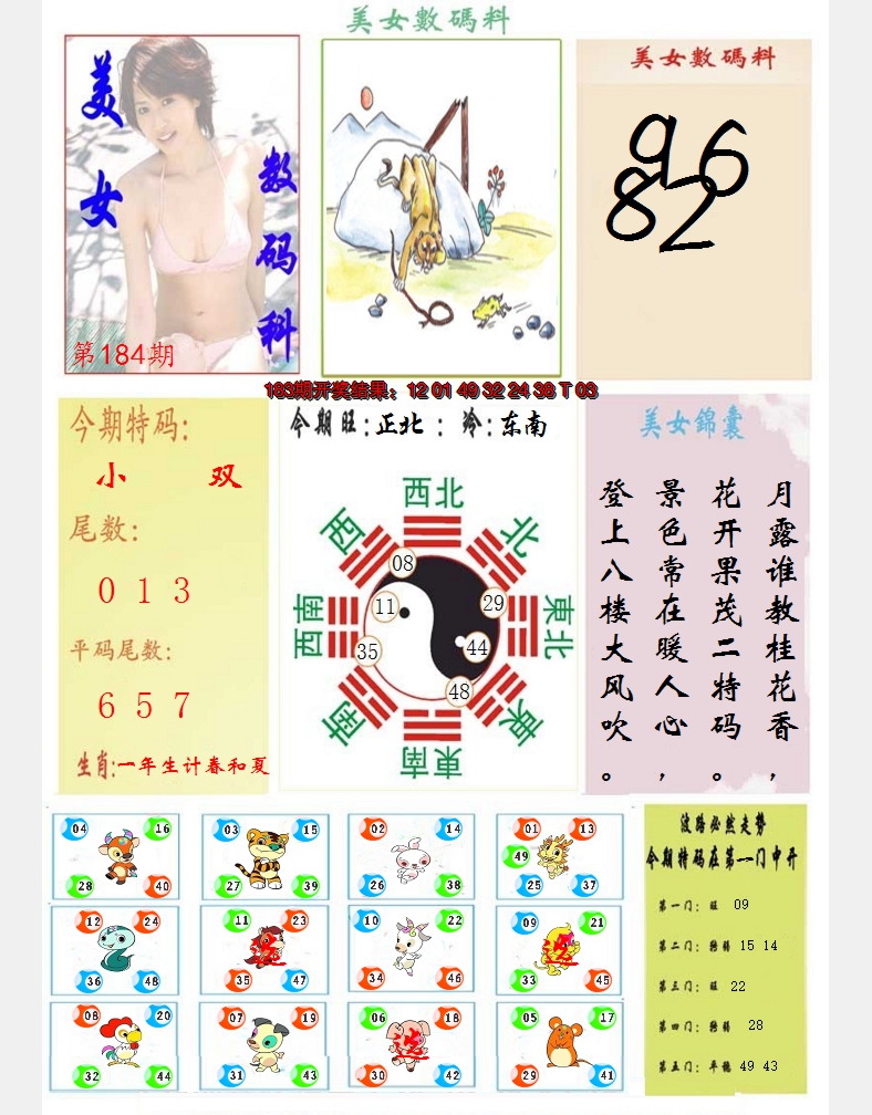 新澳彩184期:美女数码料