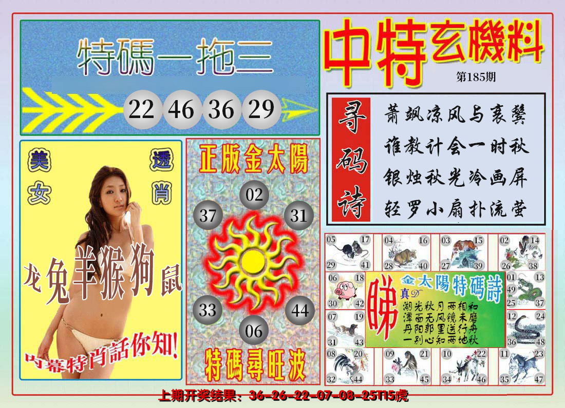 新澳彩185期:中特玄机料