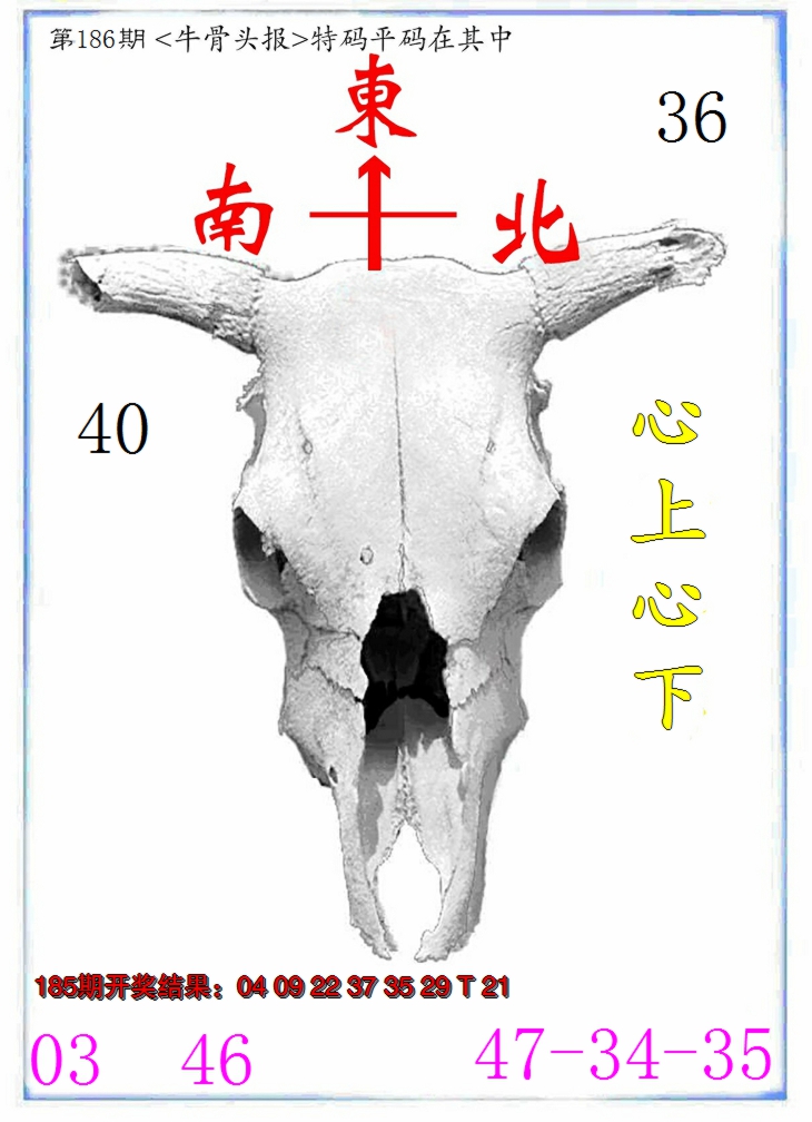 新澳彩186期:牛派系列7