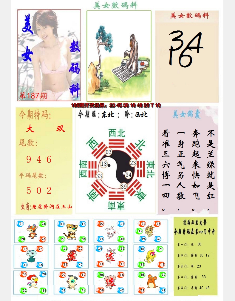 新澳彩187期:美女数码料