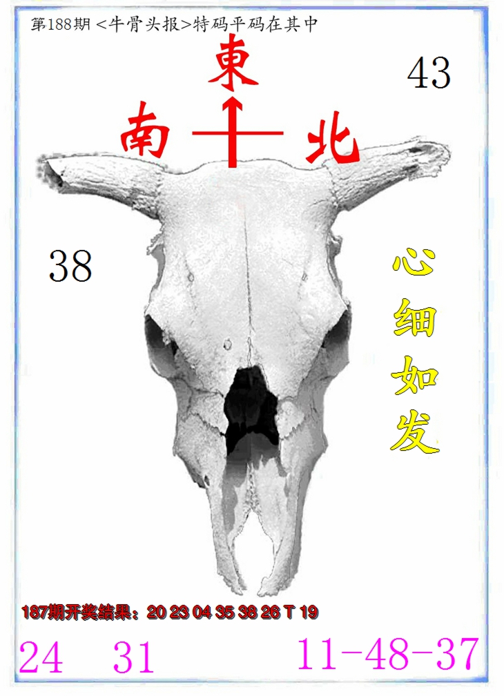 新澳彩188期:牛派系列7