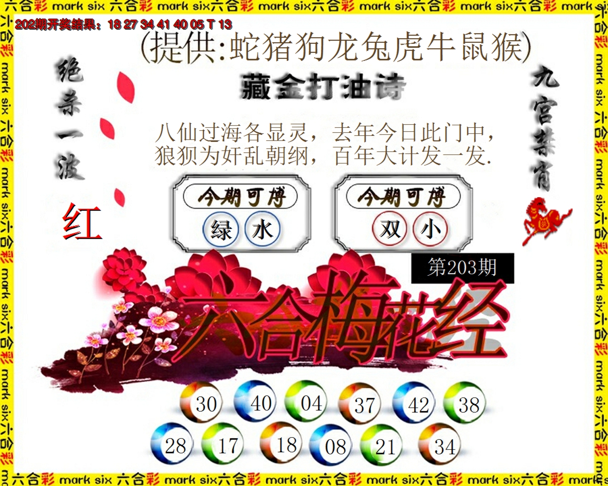 新澳彩203期:六合梅花经