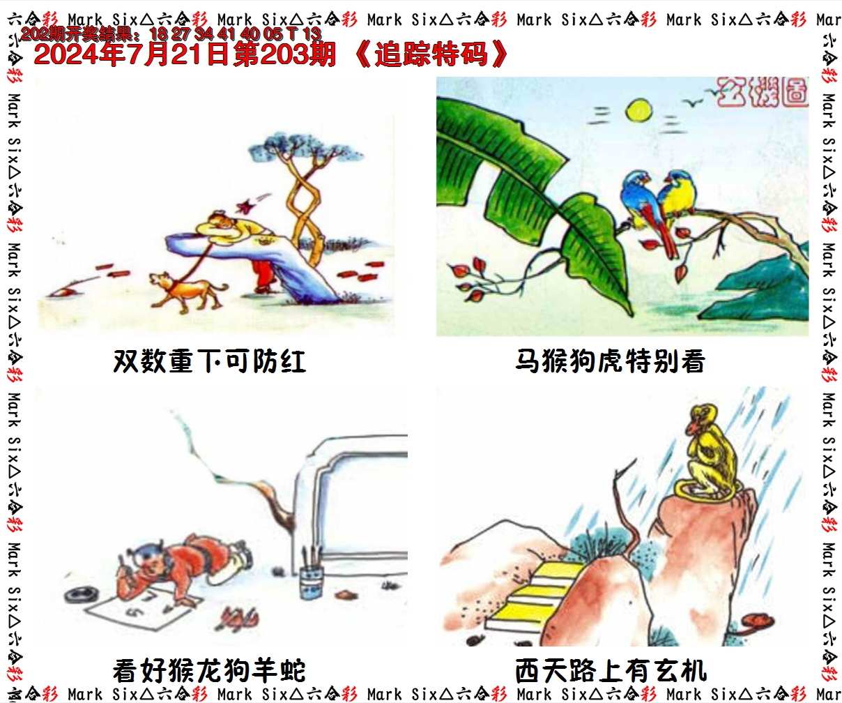 新澳彩203期:追踪特码