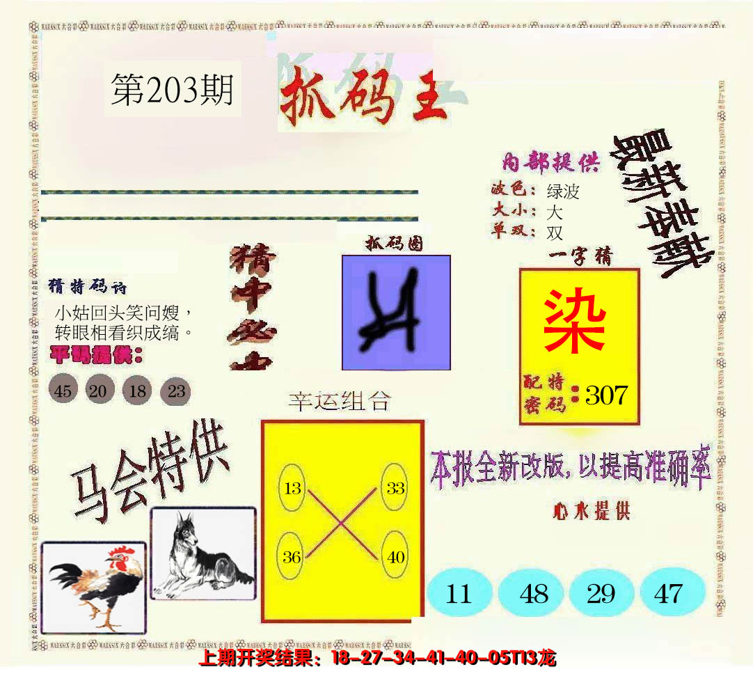 新澳彩203期:新抓码王