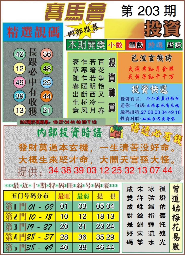 新澳彩203期:马会投资