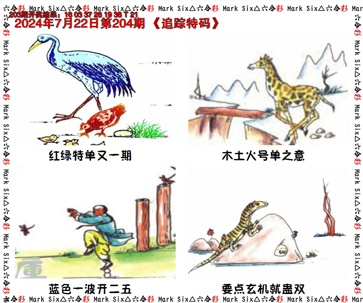 新澳彩204期:追踪特码