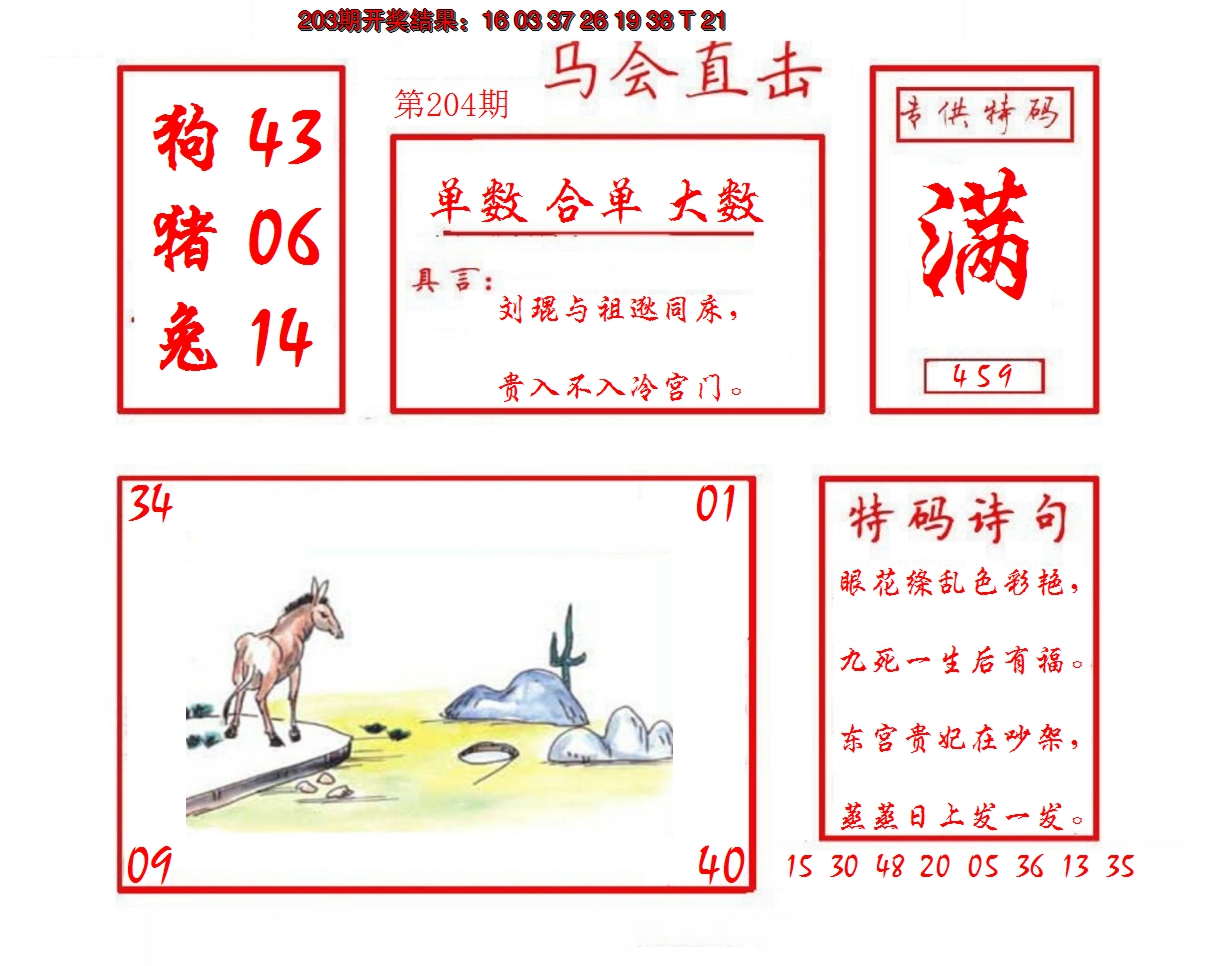 新澳彩204期:马会直击