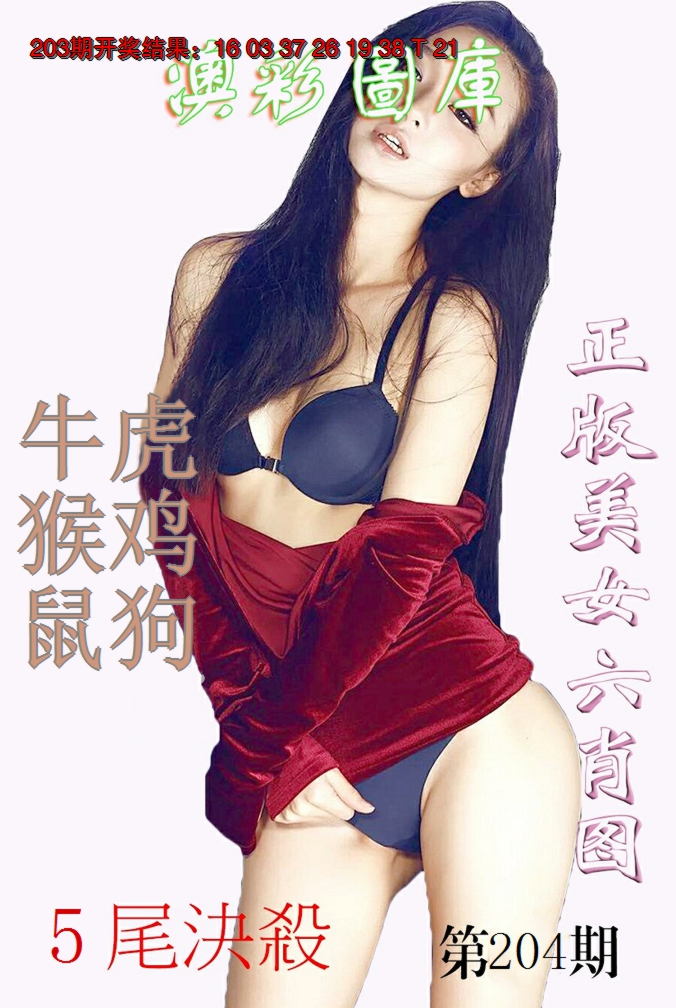 新澳彩204期:美女六肖图-1