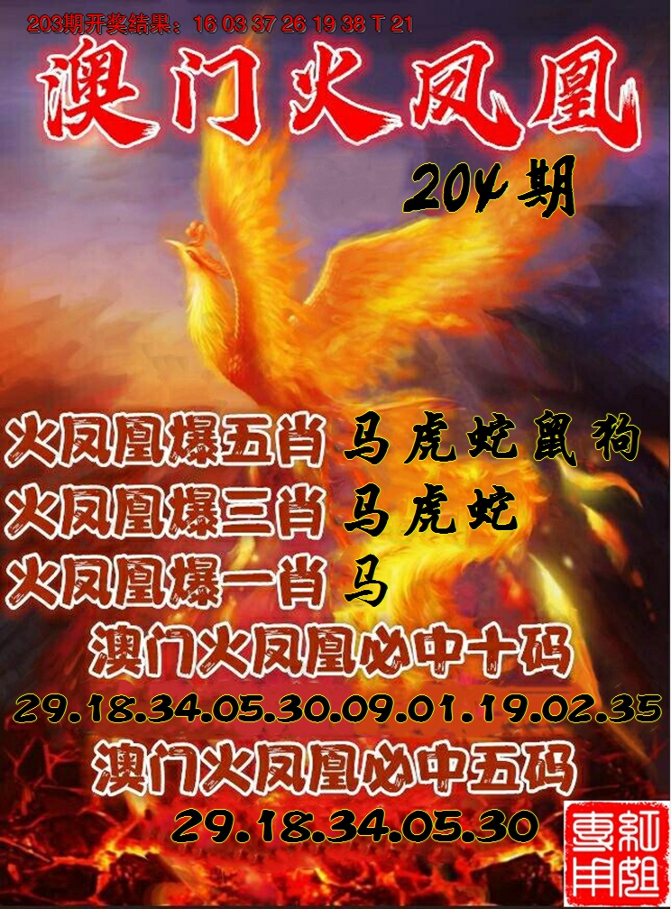 新澳彩204期:火凤凰