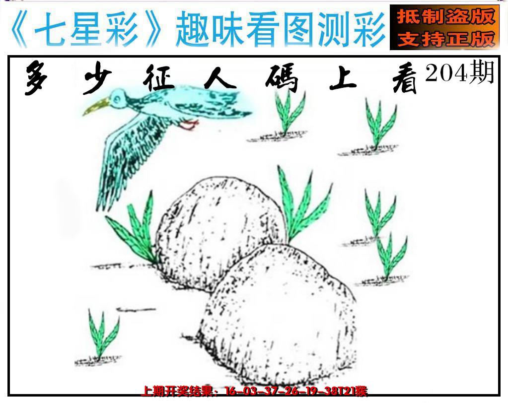 新澳彩204期:澳版七星彩图