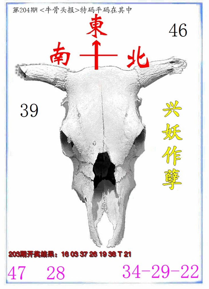 新澳彩204期:牛派系列7