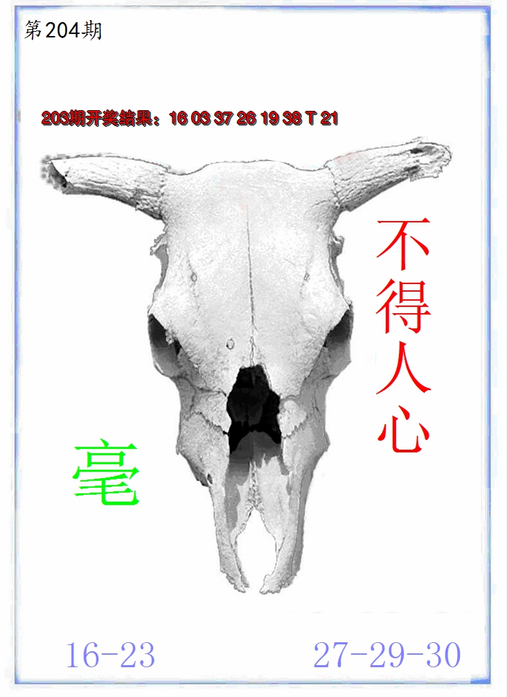 新澳彩204期:牛派牛头报