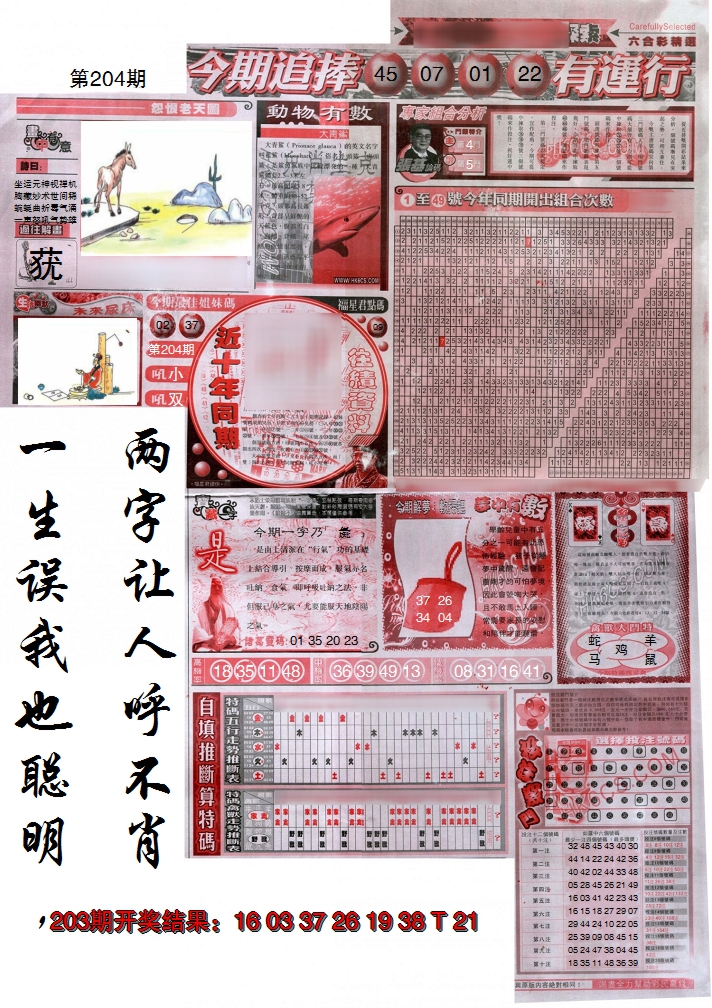 新澳彩204期:新六合精选B