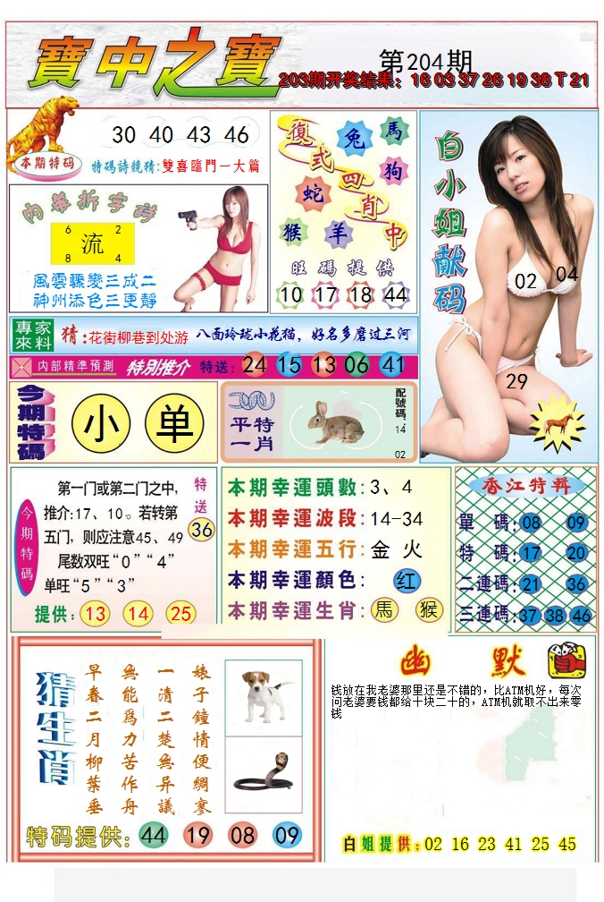 新澳彩204期:宝中之宝