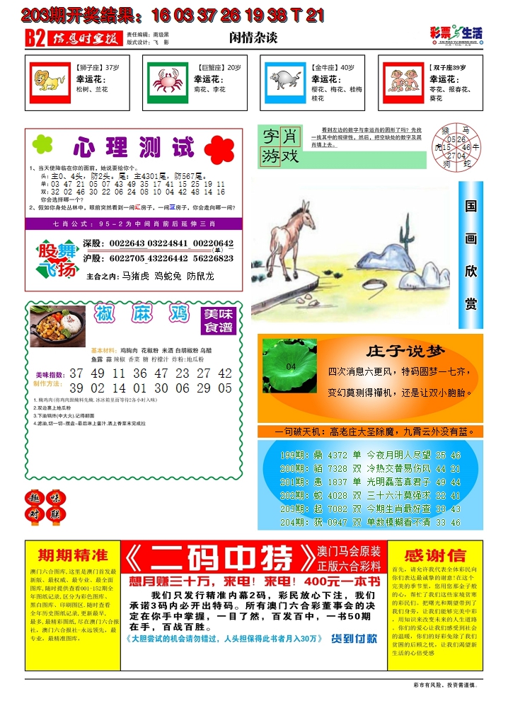 新澳彩204期:彩票与生活B