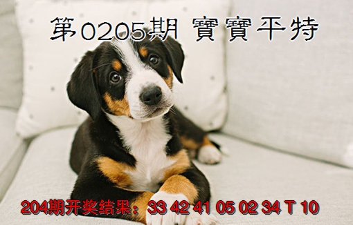 新澳彩205期:宝宝平特