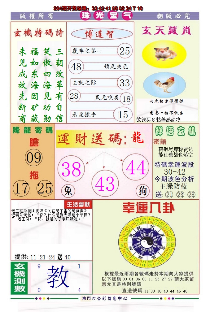 新澳彩205期:珠光宝气