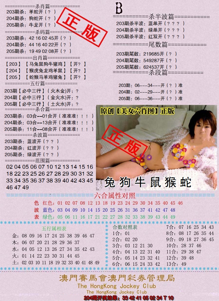 新澳彩205期:通缉令-2