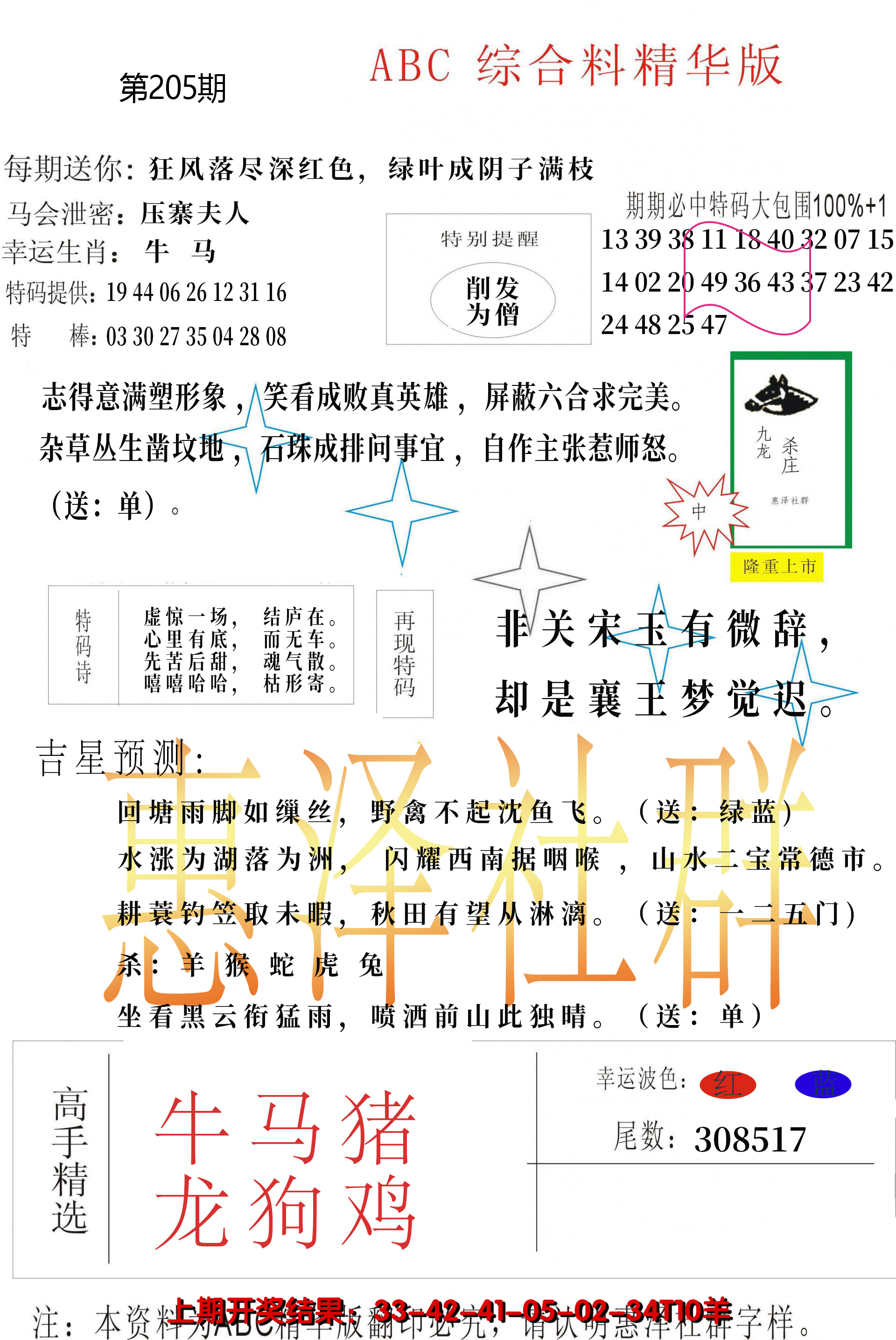 新澳彩205期:综合正版资料