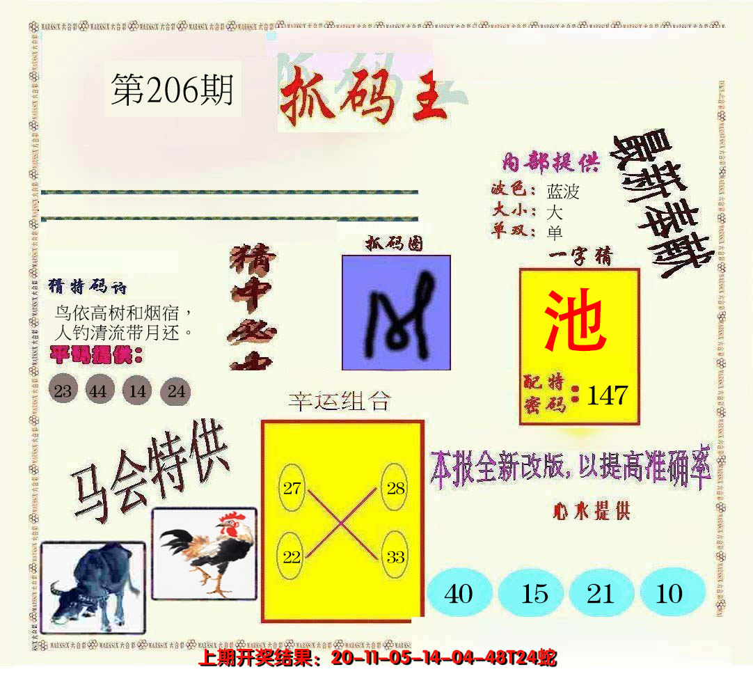 新澳彩206期:新抓码王