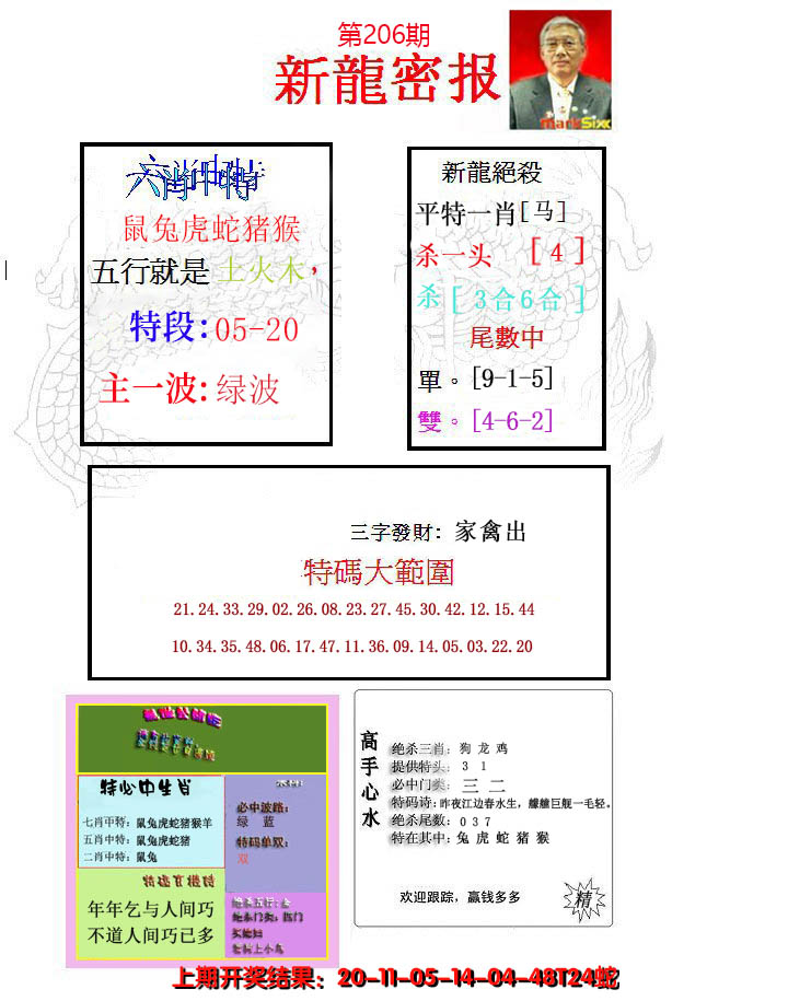 新澳彩206期:新龙密报