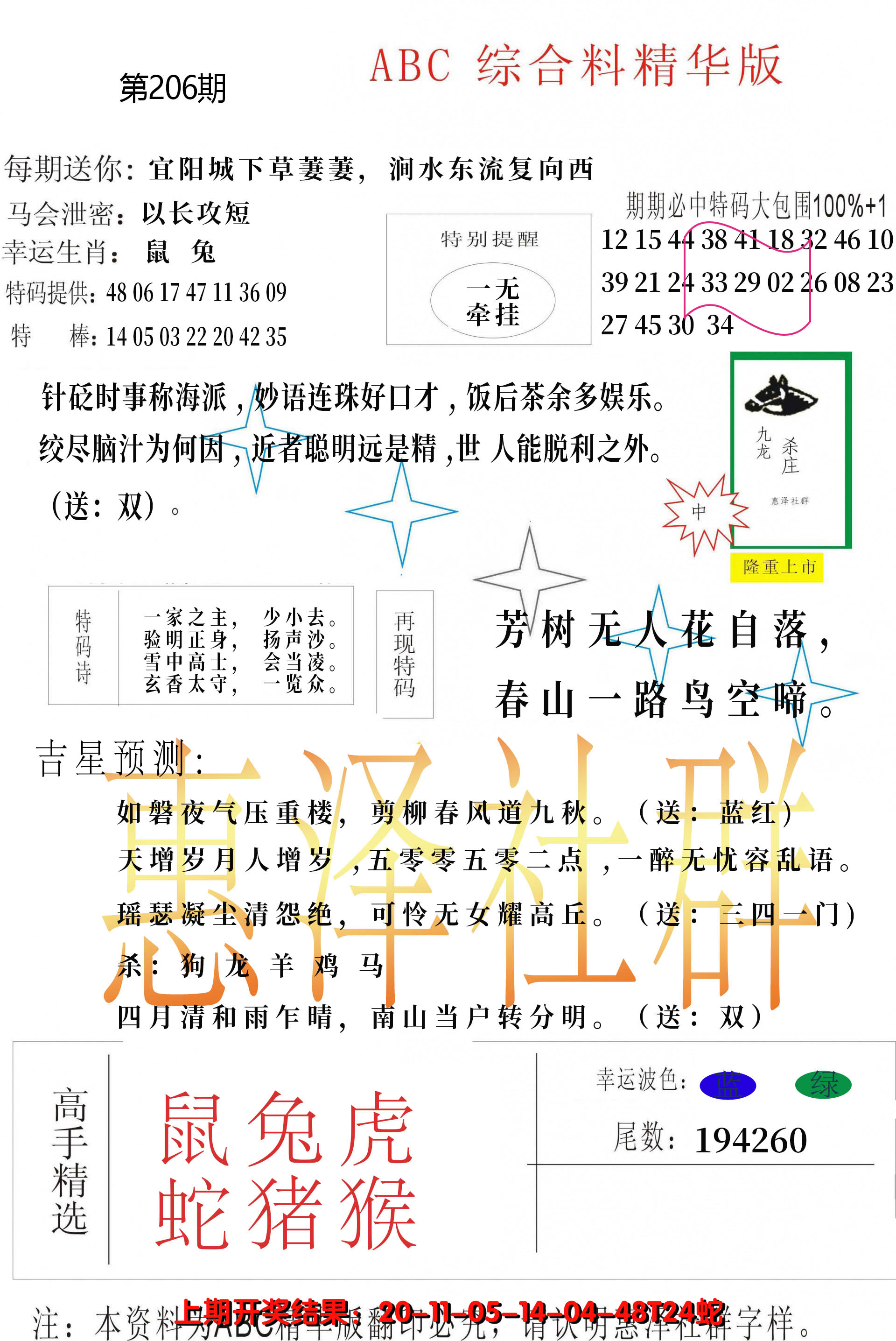 新澳彩206期:综合正版资料