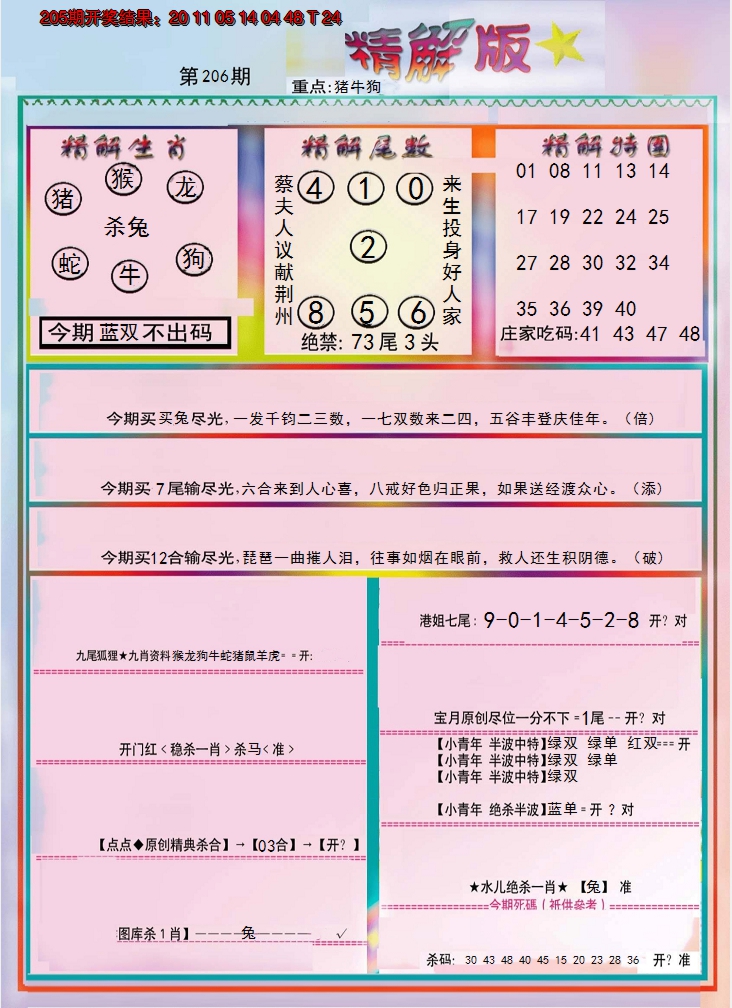 新澳彩206期:精解版