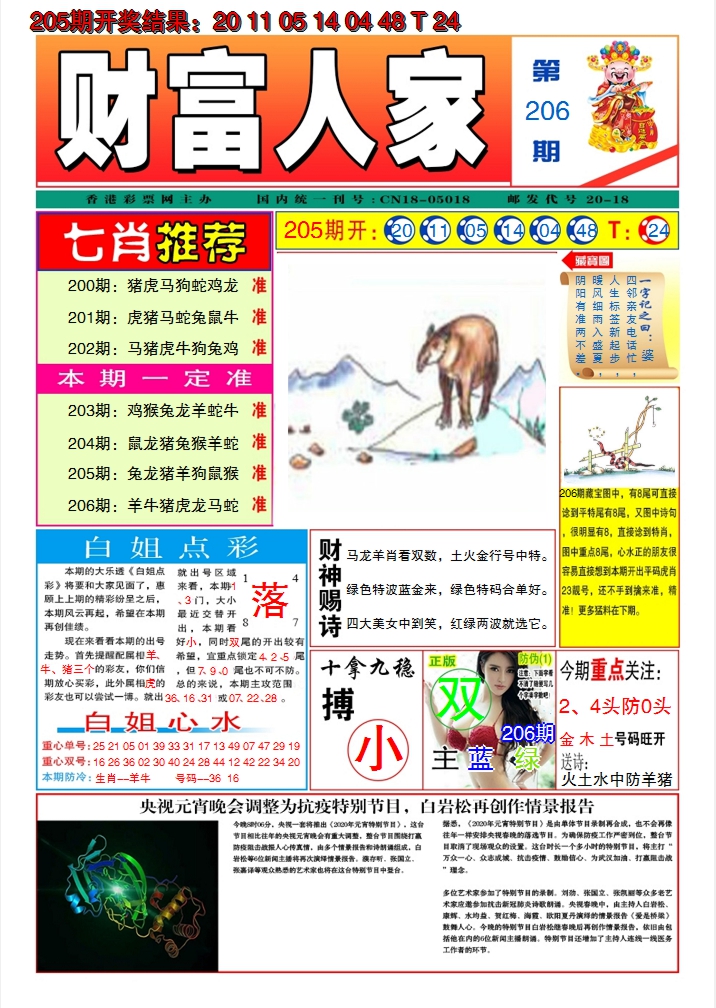 新澳彩206期:财富人家A