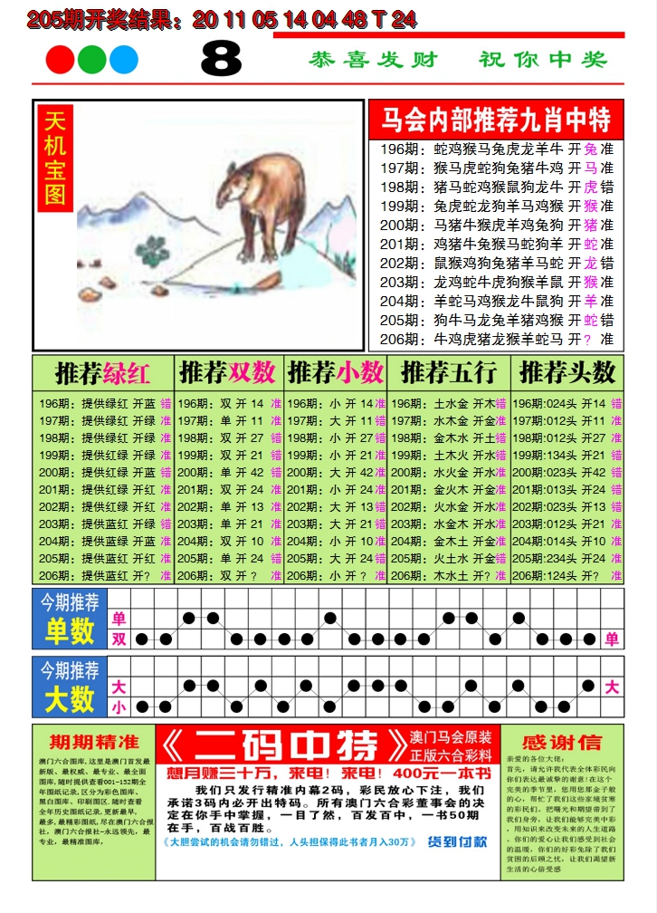 新澳彩206期:澳门致富经B