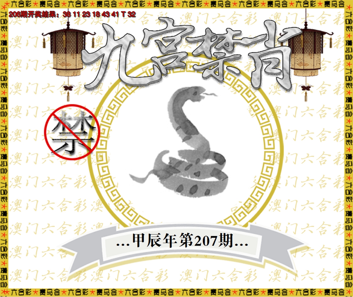 新澳彩207期:九宫禁肖