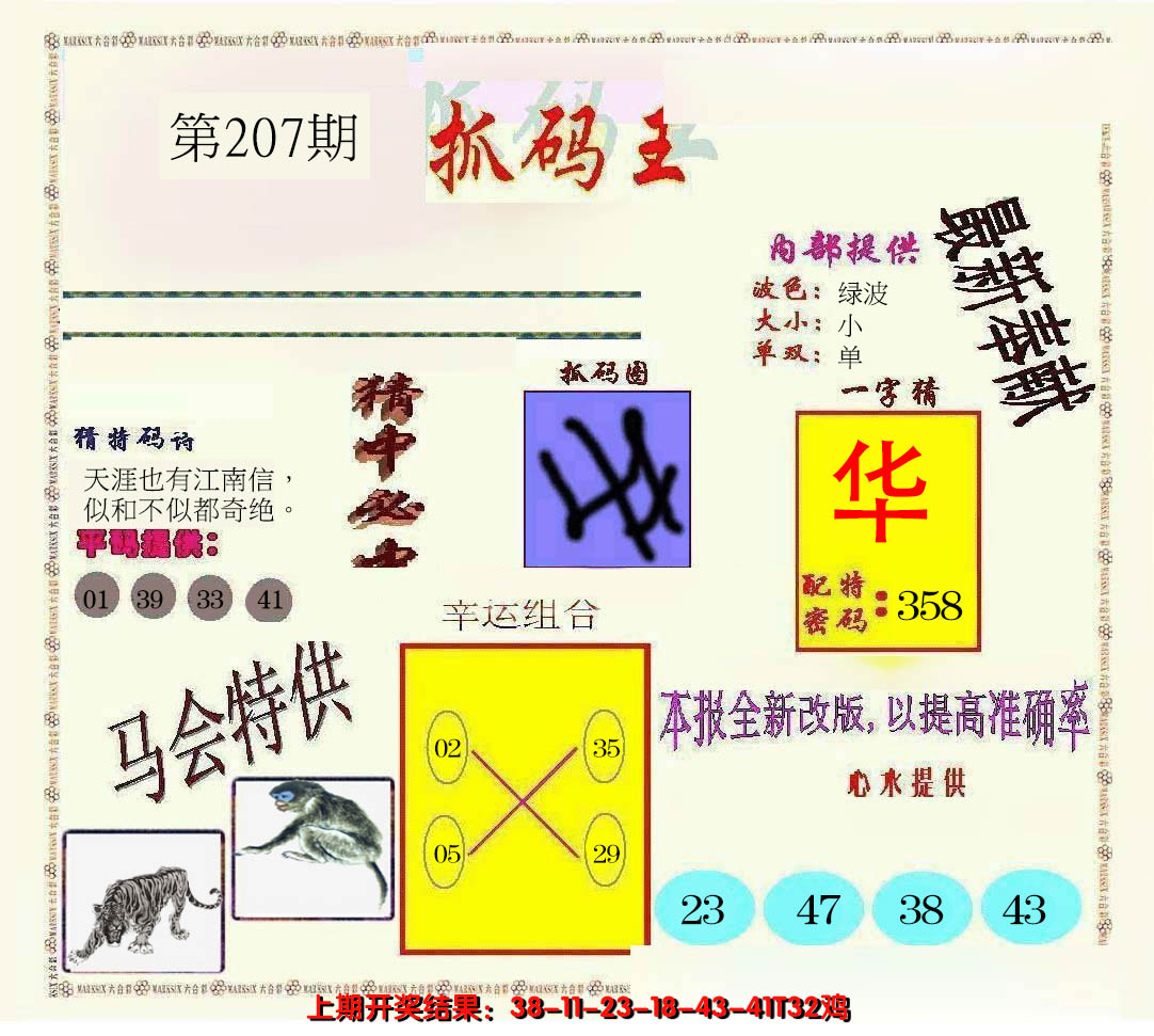 新澳彩207期:新抓码王