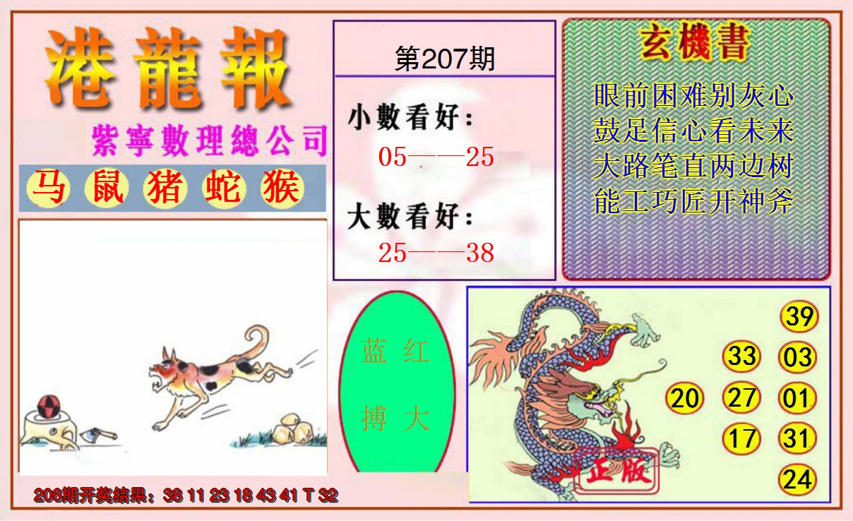 新澳彩207期:港龙报