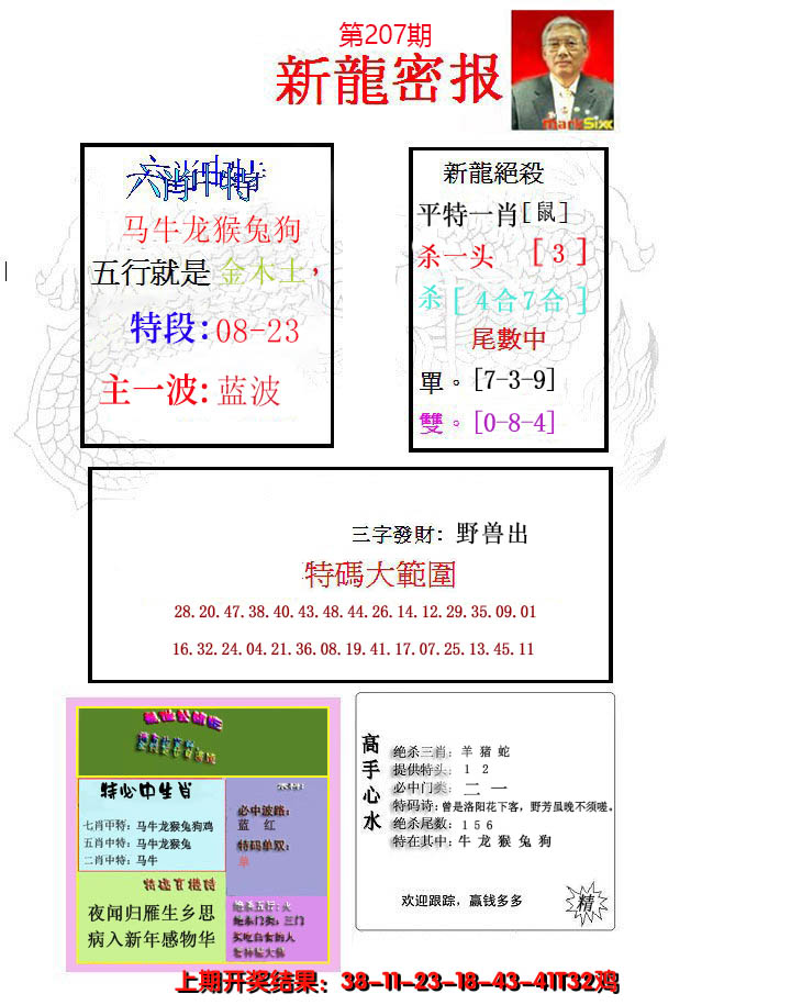 新澳彩207期:新龙密报