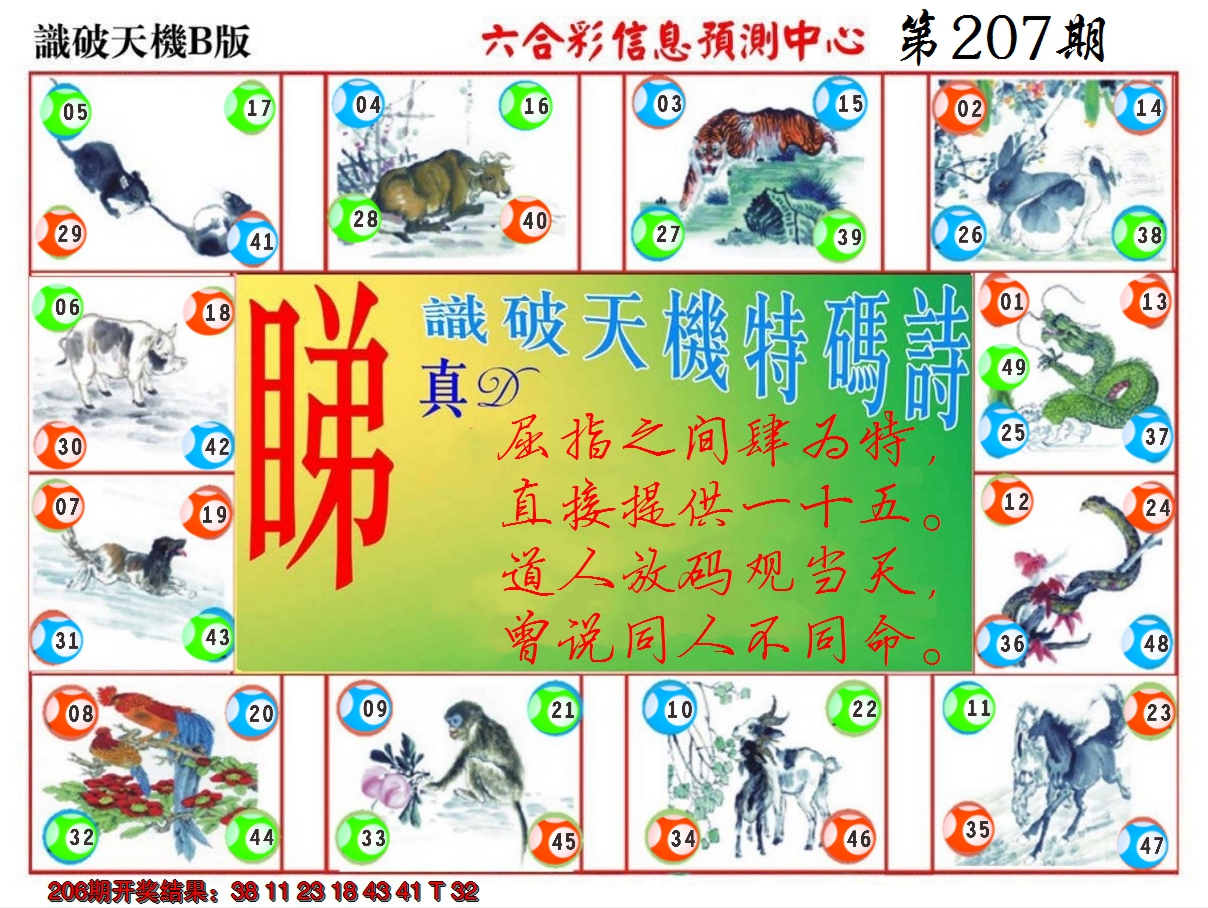 新澳彩207期:识破天机B版