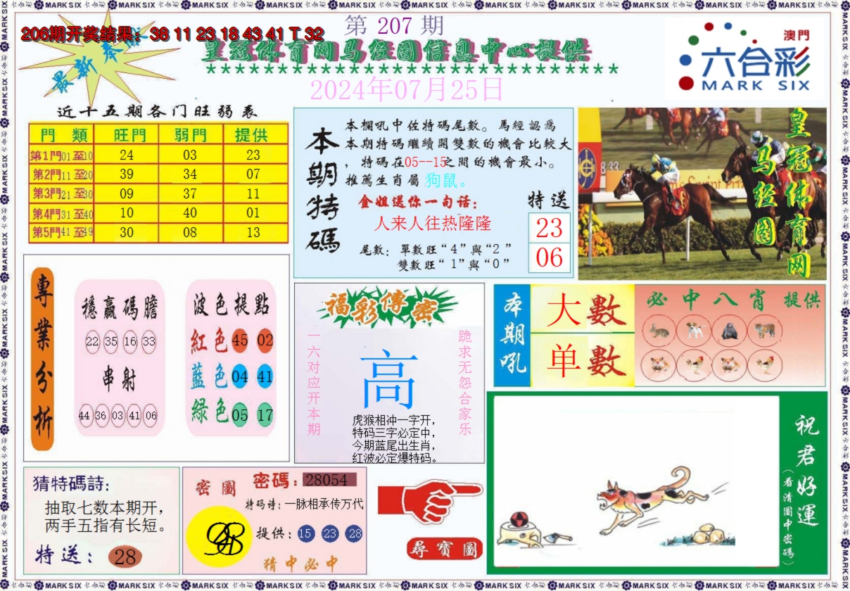 新澳彩207期:体育网马经图