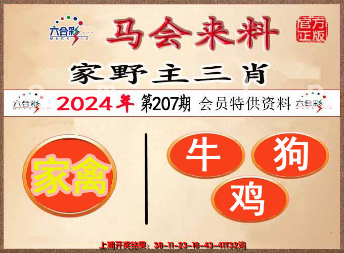 新澳彩207期:澳门来料