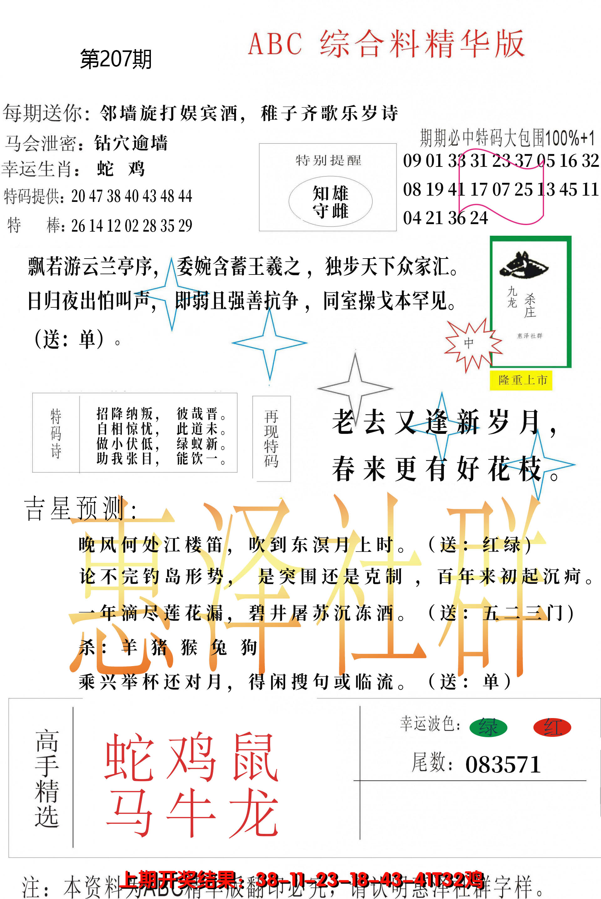 新澳彩207期:综合正版资料