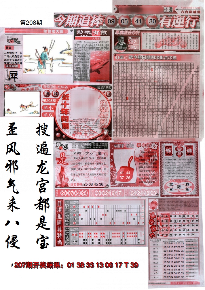 新澳彩208期:新六合精选B