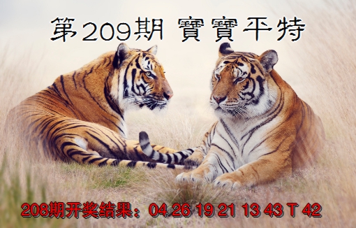 新澳彩209期:宝宝平特