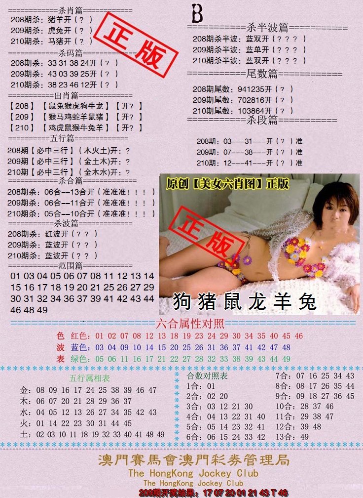 新澳彩210期:通缉令-2