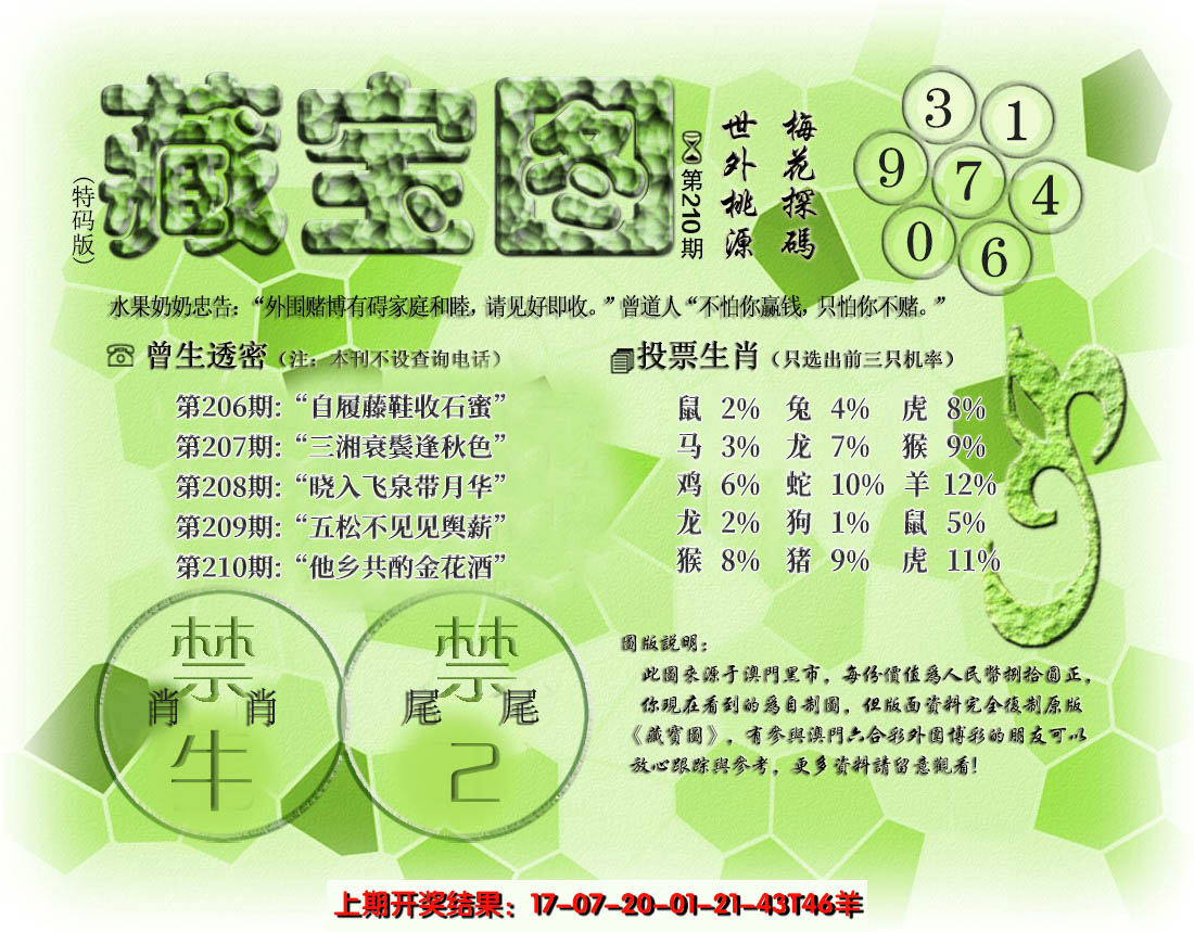 新澳彩210期:假老藏宝图