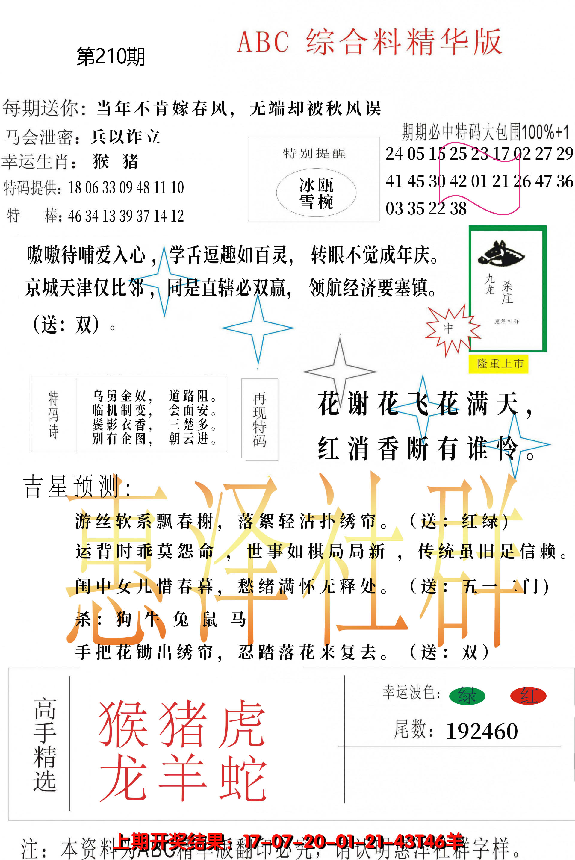 新澳彩210期:综合正版资料