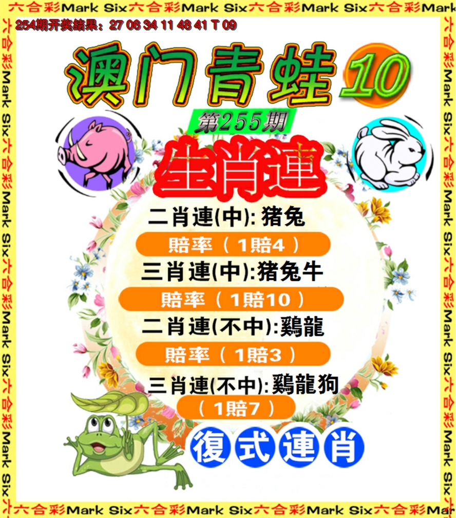 青蛙系列10